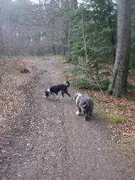 Tilly & friend